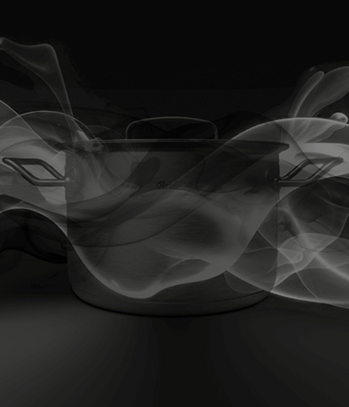 A high-quality Fissler stainless steel pot with ergonomic handles, presented on a dark background amidst elegant wisps of steam.
